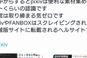 【悲報】反AIさん、例の「pixiv自動収集プログラム」にブチギレて崩壊し始めてしまうｗｗｗｗｗｗ