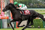 【競馬予想】[1]第42回ジャパンカップ(GⅠ) /2022