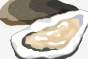 「生牡蠣」を初めて食ったときのガッカリ感は異常