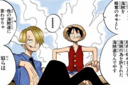 【驚愕】ワンピースの「七武海」って弱すぎたよね？？？？？
