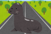 【北海道】道路の真ん中に“アザラシ”  警察も出動　漁師「シカやキツネは毎日だがアザラシは初めて…」サロマ湖に移動させる