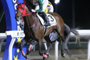 北海優駿、川崎競馬の真裏で3億4200万(前年比170%) 門別1日8.5億売上