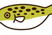 【画像あり】このフグ食べれるよな？？？？？？？？