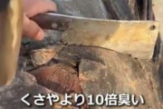 【動画】一級料理人が″ゾンビマグロ″に挑んだ結果ｗｗｗｗ