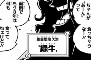 【悲報】ワンピースでなかなか登場しなくてキレそうなキャラ「緑牛、ベガパンク」