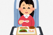 海外ざわわ　外国人「日本行きのチケットを一枚頼む」　日本の機内食のレベルが凄すぎるらしい
