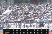 プロ野球、土日の観客動員数www
