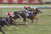 【競馬・フェブラリーS】モズアスコットに死角はあるのか？