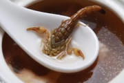 広東省の人たちが食べるサソリのスープが恐ろしい