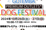 【犬好き集合！】御殿場で開催！ドッグフェスティバルの魅力と特別イベント情報