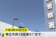 【悲報】全裸で奇声上げ走り回っていた３２歳女性、警察官が路上に押さえつけた後に意識失う…　なお、搬送先病院で死亡