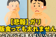 【悲報】ガリ「飯食っても太れません」←これマジで何食えばいいんだよ…