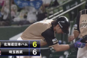 【vs西武】日ハム大田、同点タイムリー！！！！！