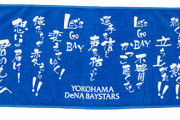 横浜DeNAベイスターズのライジングテーマｗｗｗ