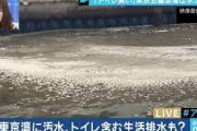 【五輪】東京湾の水質がヤバすぎてコロナよりもヤバい病気が流行りそうと話題にｗｗｗｗｗｗｗｗｗｗ
