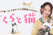小田さくらが保護猫たちとの日々を語るエッセイ「さくらと猫」の連載スタート ｷﾀ━━━━(゜∀゜)━━━━!!