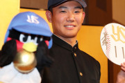 【朗報】2019年ヤクルト、神ドラフトやん！