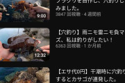 【朗報】海で溺れていた子猫を助けたYouTuberさん、再生回数がほぼ100倍になる
