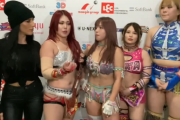 【画像】女子プロレスラーさん、なんかサイズ感がおかしいw