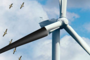 風力発電、黒くするだけで衝突死7割減少