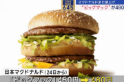【悲報】ゲームのお供、マクドナルド値上げが2年で4回目。最大67%の値上げに。。。