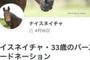 ●来週はふぐすま牝馬スデェグス(新潟)　他