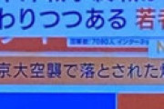 【画像】 今の日本人の25% 「東京に核が落とされた」