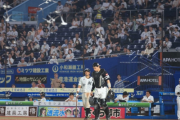 ZOZOマリン騒然！　鳥の大群襲来で試合一時中断のハプニング　ネットに当たり落ちる鳥も…選手もビックリ