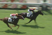 【競馬】レジェンドセラーの馬名意味ｗｗｗｗｗｗｗｗｗ