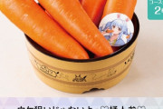 【悲報】ホロライブさん、人参を4000円で売ってしまう