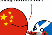 【中国】ポピー運動【ポーランドボール】