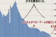 【悲報】日本の少子化、ラストチャンスが終わってた事が判明ｗｗｗｗｗｗｗｗｗｗｗｗｗｗｗｗｗｗｗ
