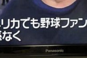 【画像】野球ファン(30)、とんでもない姿をTVで晒されてしまうｗｗｗｗｗｗｗｗｗｗｗｗ