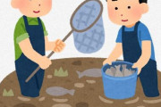高視聴率だった池の水全部抜くが飽きられた理由って一つしかないよな？
