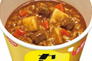 「カレーメシ」の感想を正直に書いてみろ