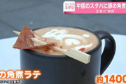 【悲報】中国のスタバにイカれたメニューがあると話題にｗｗｗｗ