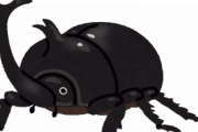 日本で野生のカブトムシ捕まえたことある？