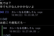 【悲報】ワイ、カレー板でガイに絡まれる