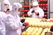 【動画】中国あるある、りんご着色工場の様子！黄色いりんごが真っ赤なりんごに！