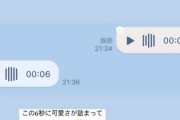 【乃木坂46】金川紗耶と奥田いろはのLINEのやりとりにほっこり・・・