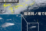 【朗報】小笠原の火山噴火で出来た新しい島がこちらｗｗｗｗｗｗｗｗ