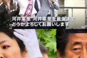 【毎日】なぜ首相と菅氏は河井夫妻を重用したのか 背景は？