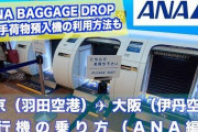 【?】なんJ民の6割「飛行機に一人で手配して乗ったことない」ワイファッ！？