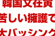 韓国文在寅が追い詰められてパニック状態！　とんでもない弁解を始め韓国民の顰蹙を買う！　逃げるように東南アジア外遊へ出発！