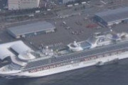 新型ウイルス、クルーズ船で新たに88人感染確認