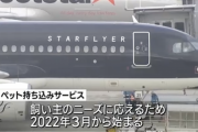 スターフライヤー客室内に犬猫を持ち込めるサービスを全国展開