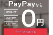 ソフトバンクのPayPay、中身のシステムは全部アリババが作る、ドコモのスマホにファーウェイが入ってる手口と同じ。経済産業省と総務省、ちゃんと日本人の個人情報を守って