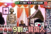 慰安婦と売春婦は「似たようなもの」発言の韓国名門大教授がついに告訴された！