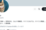 【ダブスタ】サヨク「ネトウヨ殲滅。人種差別許さない。人権擁護」→矛盾指摘されるも「ネトウヨがマトモになれば良い」と勝利宣言
