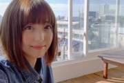 加藤英美里とかいう人気作品に必ずいるのにレジェンド感がない美人声優